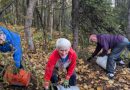 BLM Celebrates National Public Lands Day on Campbell Tract in Anchorage | Bureau of Land Management
