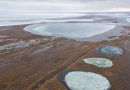 Bureau of Land Management reopens vast areas of National Petroleum Reserve in Alaska for energy development | Bureau of Land Management