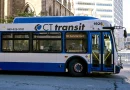 CT veterans can get free bus passes. Here’s how to apply
