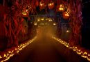 What to do in Colorado this week: The scariest corn mazes in the state