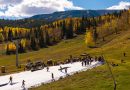 Aspen Snowmass considers snow storage pilot a success