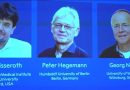 Switching on brain cells: the Nobel-winning science of optogenetics