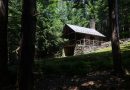 Why Artist Residencies Are Culture’s Best Defense Against Automation