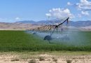 Crucial San Luis Valley aquifer plummets to record low
