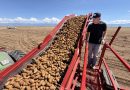 Who will stop the draining of San Luis Valley’s water lifeline?