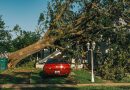 FEMA leader says states should handle their own problems