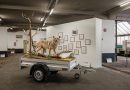 After Losing Two Fairs, Vienna’s Galleries Built One Together