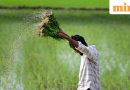 Madhya Pradesh CM Mohan Yadav releases  ₹318 crore for crop insurance; here's how farmers can check payment status