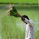 Madhya Pradesh CM Mohan Yadav releases  ₹318 crore for crop insurance; here's how farmers can check payment status