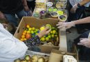 A renewed plea to safeguard SNAP in the Farm Bill