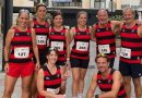 Torremolinos Red Cross fundraiser run « Euro Weekly News