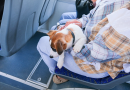 Why Spain needs better travel rules « Euro Weekly News