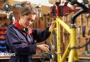 Greens would offer two-year jobs to unemployed under-24s