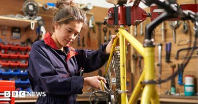 Greens would offer two-year jobs to unemployed under-24s