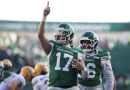 Riders top Elks 16-9, will face Lions in West semi