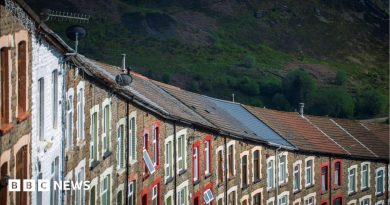 Decision to delay council tax shake-up in Wales is ‘absurd’, says IFS