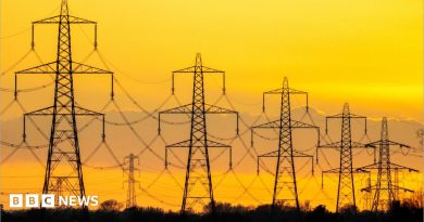 Wales could ban steel pylons as government launches consultation