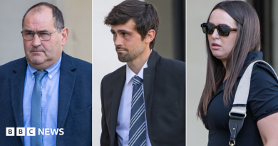 Ceredigion councillor cleared of illegal dog breeding and fraud