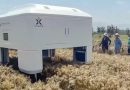 China unveils AI-powered robot designed to help farmers breed better strains of wheat
