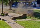 Woman arrested after video shows wild ride near courthouse