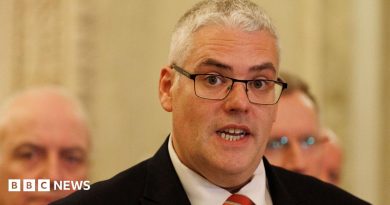DUP leader ‘hopes’ Carla Lockhart will not leave party