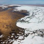 BLM Holds First Successful Coastal Plain Oil and Gas Lease Sale Under Working Families Tax Cuts Act | Bureau of Land Management