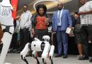 Can China’s dancing robots swing some new business partners in Africa?