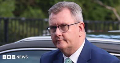 Jeffrey Donaldson: Former DUP leader sentenced to 15 years for child sex abuse convictions