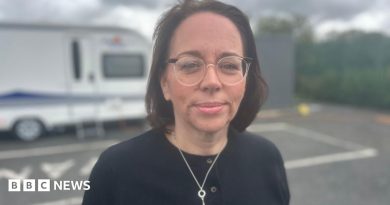Irish Travellers’ nomadic life ‘is at risk’, says support committee