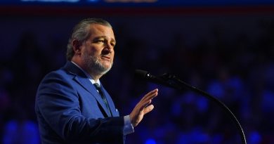 Ted Cruz blasts JD Vance as ‘insecure,’ says he’s focused on helping GOP win midterms