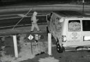 Video shows vandal targeting Kennesaw animal rescue property
