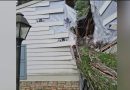 Falling tree splits Kennesaw family’s home in half while they sleep