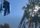 What Six Flags is changing after a deadly coaster fall