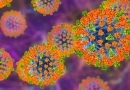 Measles cases surpass 1,000 in Pennsylvania amid the state’s largest outbreak in decades