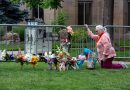 Boulder fire bomber pleads guilty to federal hate crimes