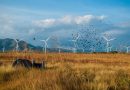 Mexico Eyes US$12.5B Solar and Wind Plan
