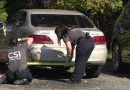 Driver who rammed Gwinnett police car arrested, police say