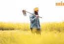 PM Kisan 24th instalment: ₹2,000 in your bank account next week; are you eligible? How to complete KYC? Explained
