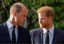 Prince Harry wants to reconcile ‘complicated relationship’ with brother, father – National