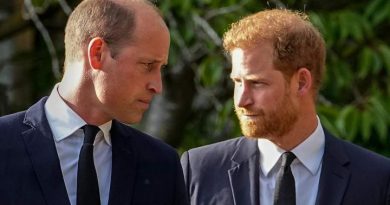 Prince Harry wants to reconcile ‘complicated relationship’ with brother, father – National