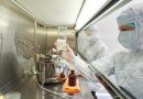 Russia plague fears grow as WHO demands answers over second worker with pneumonia « Euro Weekly News