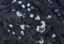 France’s drought uncovers ‘Pyrenees diamonds’ as hundreds hunt for hidden treasure « Euro Weekly News