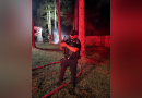 Deputy rescues nearly a dozen chickens from burning coop in Barrow County