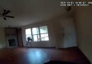 Watch: Suspected thief jumps through window to escape deputy