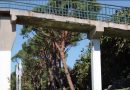 Mijas demands urgent repairs to A-7 footbridges « Euro Weekly News