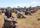 Attacks kill at least 60 Orthodox Christians in Ethiopia, church says