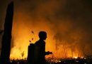 Brazil investigates Amazon wildfires that disrupt daily life