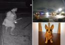 Ghoulish thief caught on camera stealing Halloween decor from family’s lawn: report