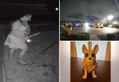 Ghoulish thief caught on camera stealing Halloween decor from family’s lawn: report